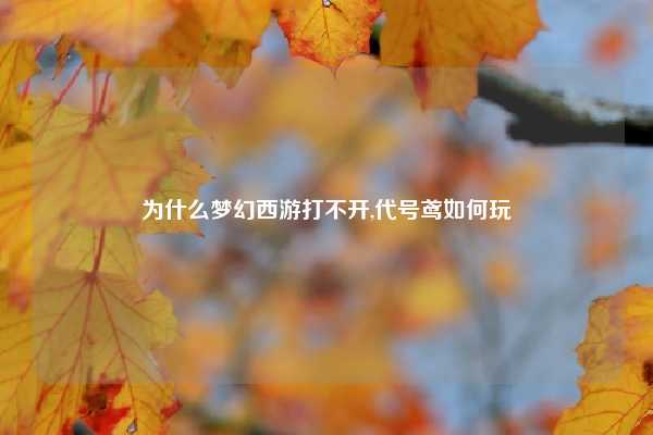 为什么梦幻西游打不开,代号鸢如何玩