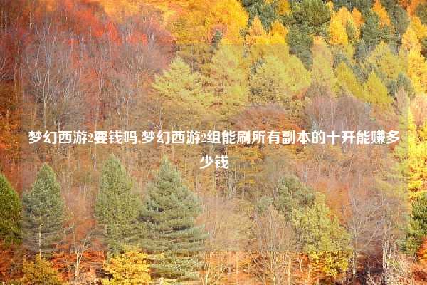 梦幻西游2要钱吗,梦幻西游2组能刷所有副本的十开能赚多少钱