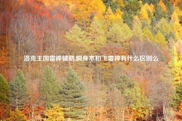 洛克王国雷神辅助,瞬身术和飞雷神有什么区别么