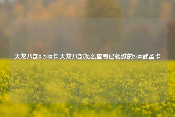 天龙八部3 2888卡,天龙八部怎么查看已领过的2888武圣卡