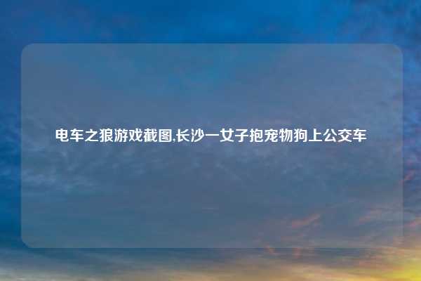 电车之狼游戏截图,长沙一女子抱宠物狗上公交车