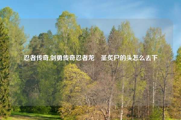 忍者传奇,剑勇传奇忍者龙珃圣炙尸的头怎么去下