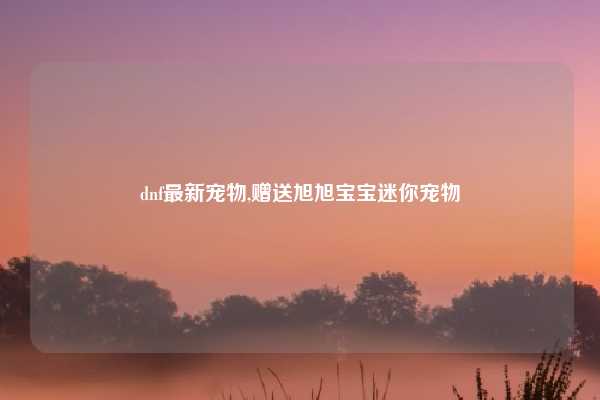 dnf最新宠物,赠送旭旭宝宝迷你宠物