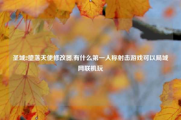 圣域2堕落天使修改器,有什么第一人称射击游戏可以局域网联机玩