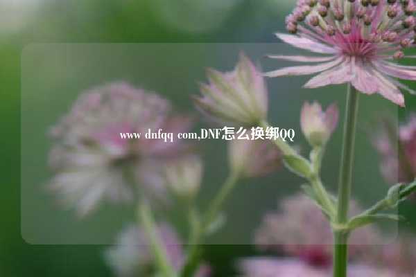 www dnfqq com,DNF怎么换绑QQ
