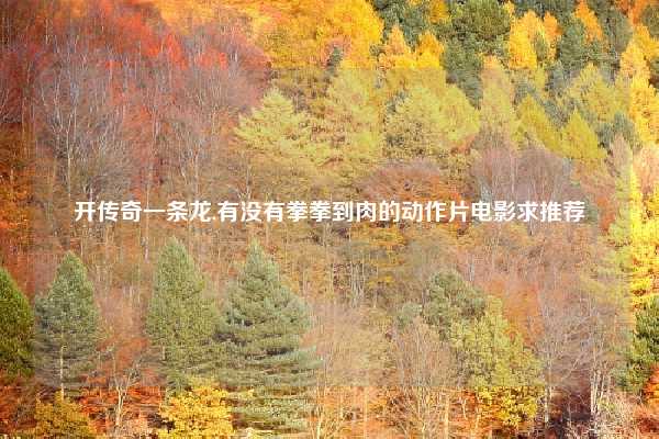 开传奇一条龙,有没有拳拳到肉的动作片电影求推荐