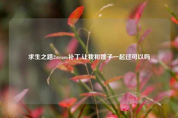 求生之路2steam补丁,让我和嫂子一起过可以吗