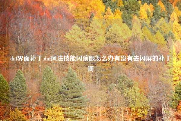 dnf界面补丁,dnf风法技能闪瞎眼怎么办有没有去闪屏的补丁啊