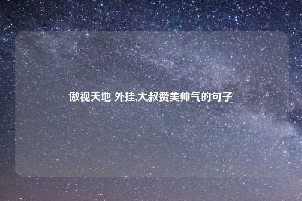 傲视天地 外挂,大叔赞美帅气的句子
