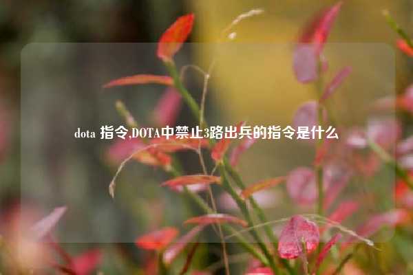 dota 指令,DOTA中禁止3路出兵的指令是什么