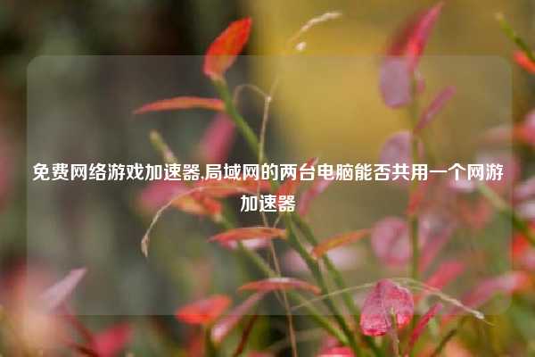 免费网络游戏加速器,局域网的两台电脑能否共用一个网游加速器