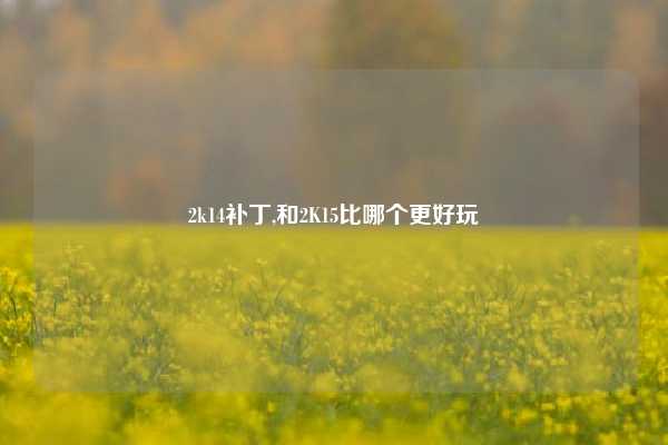 2k14补丁,和2K15比哪个更好玩