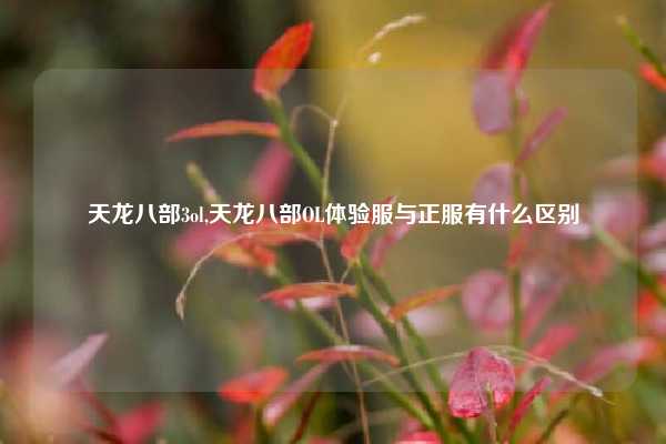 天龙八部3ol,天龙八部OL体验服与正服有什么区别