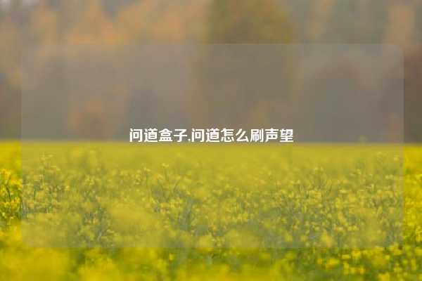 问道盒子,问道怎么刷声望