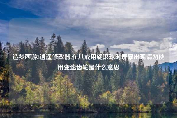 造梦西游3逍遥修改器,在八戒用旋滚球时屏幕出现请勿使用变速齿轮是什么意思