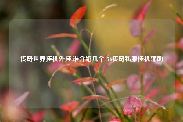 传奇世界挂机外挂,谁介绍几个176传奇私服挂机辅助