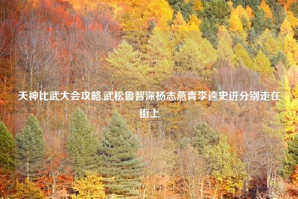 天神比武大会攻略,武松鲁智深杨志燕青李逵史进分别走在街上