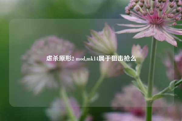 虐杀原形2 mod,mk14属于狙击枪么