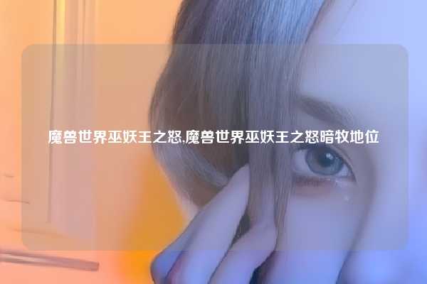 魔兽世界巫妖王之怒,魔兽世界巫妖王之怒暗牧地位