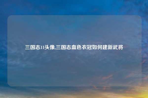 三国志11头像,三国志血色衣冠如何建新武将