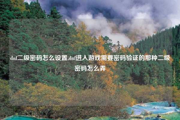 dnf二级密码怎么设置,dnf进入游戏需要密码验证的那种二级密码怎么弄