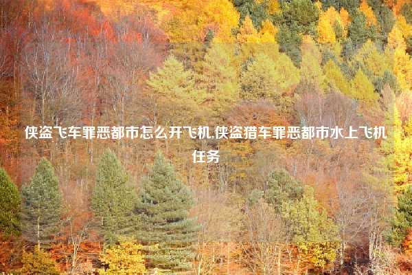 侠盗飞车罪恶都市怎么开飞机,侠盗猎车罪恶都市水上飞机任务