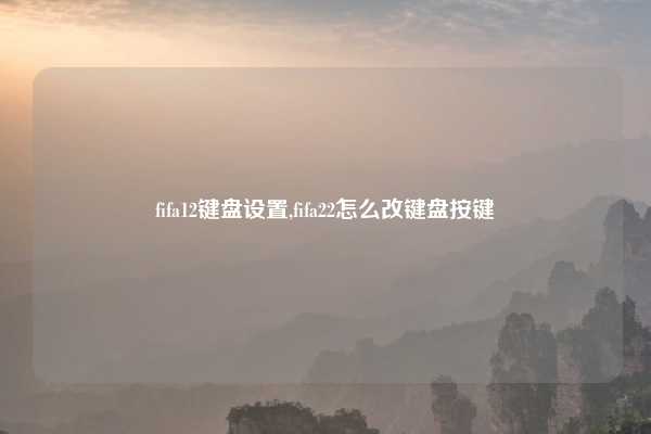 fifa12键盘设置,fifa22怎么改键盘按键