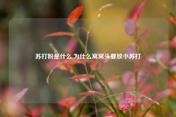 苏打粉是什么,为什么窝窝头要放小苏打