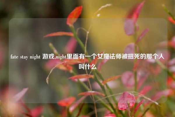 fate stay night 游戏,night里面有一个女魔法师被扭死的那个人叫什么