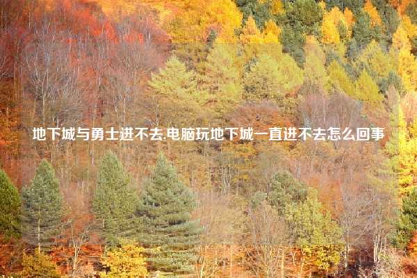 地下城与勇士进不去,电脑玩地下城一直进不去怎么回事