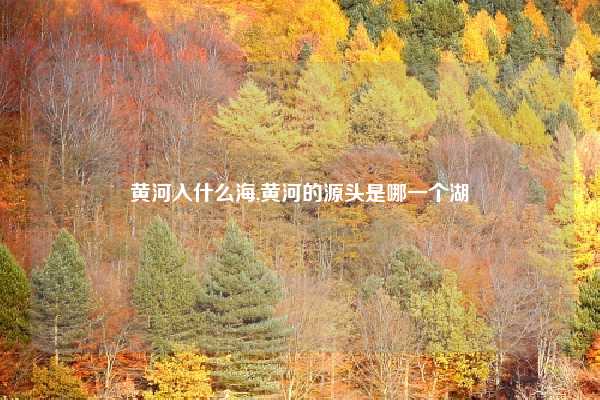黄河入什么海,黄河的源头是哪一个湖