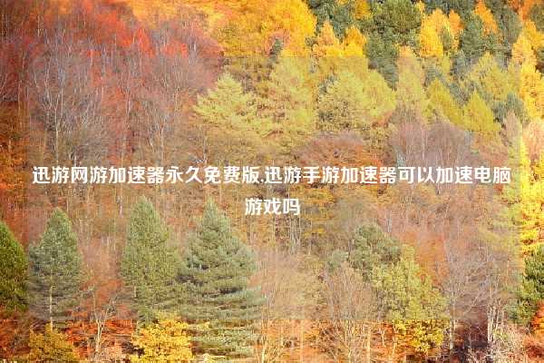 迅游网游加速器永久免费版,迅游手游加速器可以加速电脑游戏吗