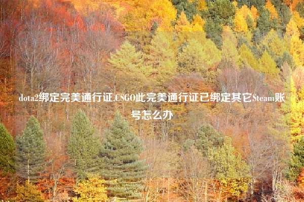 dota2绑定完美通行证,CSGO此完美通行证已绑定其它Steam账号怎么办
