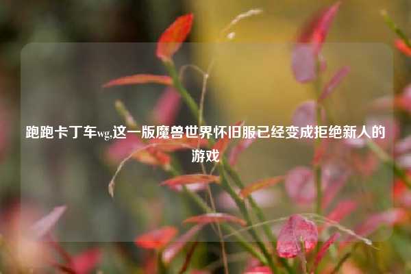 跑跑卡丁车wg,这一版魔兽世界怀旧服已经变成拒绝新人的游戏