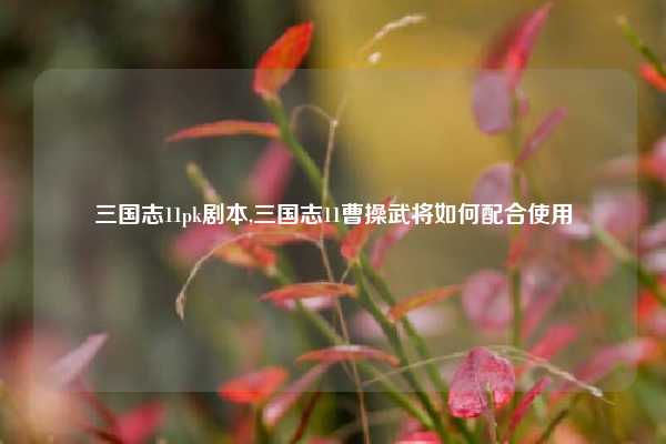 三国志11pk剧本,三国志11曹操武将如何配合使用