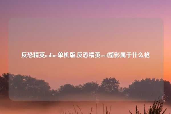 反恐精英online单机版,反恐精英csol黯影属于什么枪