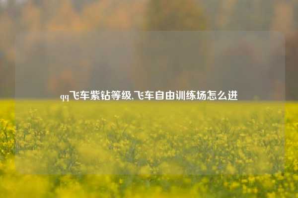 qq飞车紫钻等级,飞车自由训练场怎么进