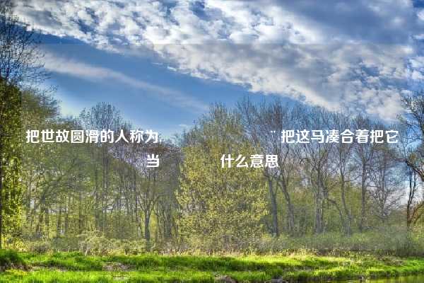 把世故圆滑的人称为,🐎💨把这马凑合着把它当🐮什么意思