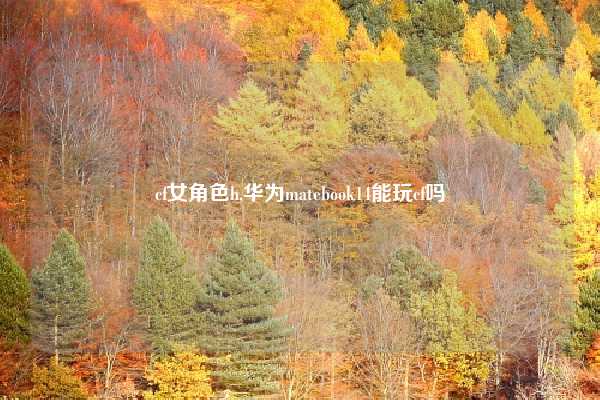 cf女角色h,华为matebook14能玩cf吗