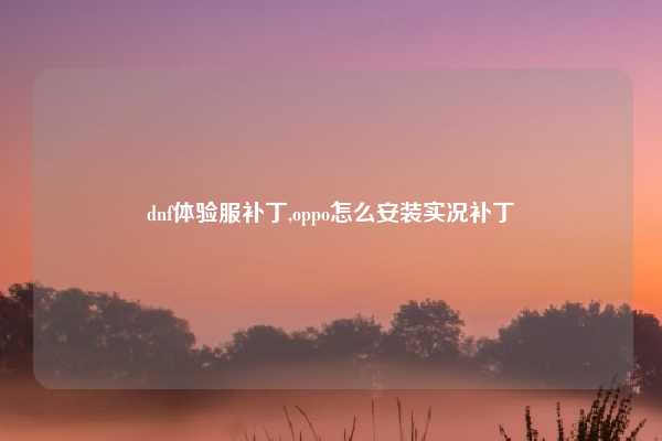 dnf体验服补丁,oppo怎么安装实况补丁