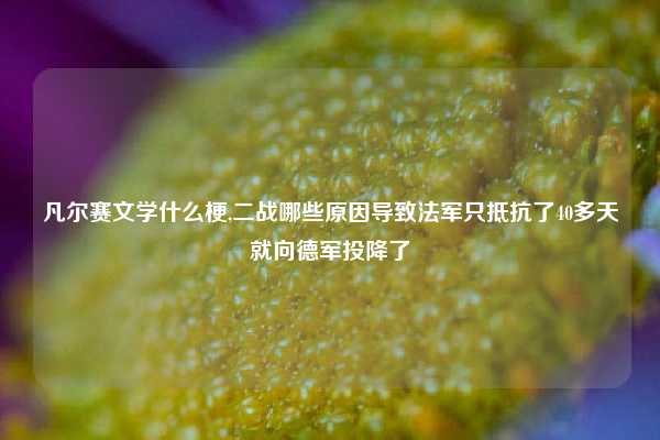 凡尔赛文学什么梗,二战哪些原因导致法军只抵抗了40多天就向德军投降了