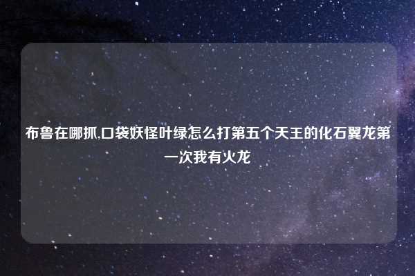 布鲁在哪抓,口袋妖怪叶绿怎么打第五个天王的化石翼龙第一次我有火龙