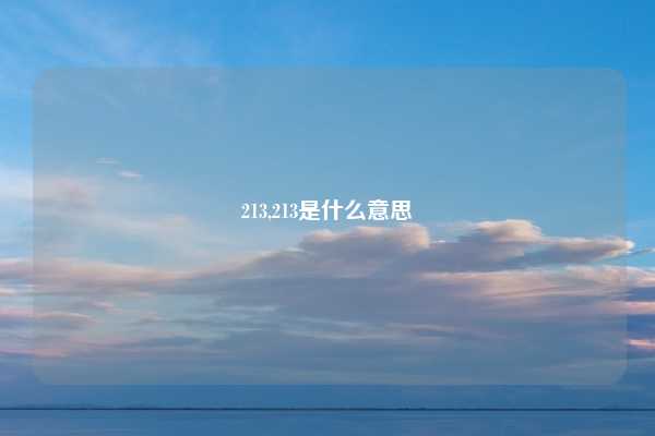 213,213是什么意思