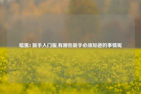 暗黑3 新手入门版,有哪些新手必须知道的事情呢