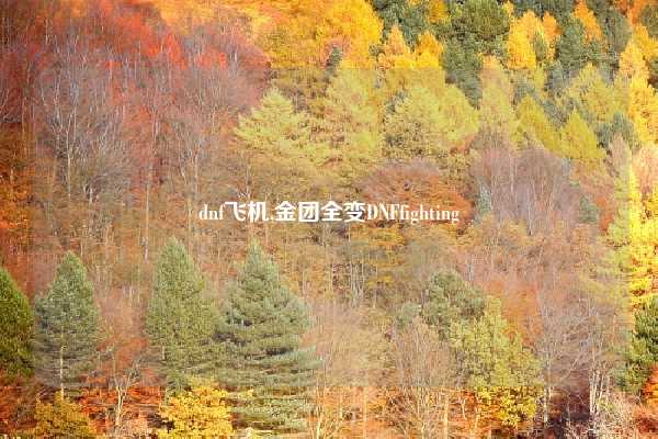 dnf飞机,金团全变DNFfighting
