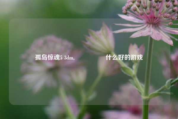 孤岛惊魂5 3dm,🈶️什么好的游戏