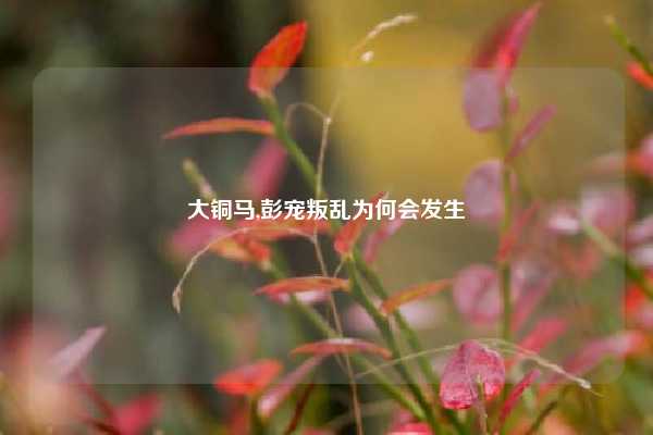 大铜马,彭宠叛乱为何会发生