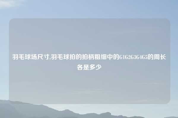 羽毛球场尺寸,羽毛球拍的拍柄粗细中的G1G2G3G4G5的周长各是多少