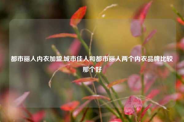 都市丽人内衣加盟,城市佳人和都市丽人两个内衣品牌比较那个好