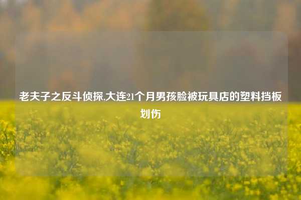 老夫子之反斗侦探,大连21个月男孩脸被玩具店的塑料挡板划伤